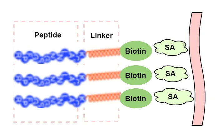productcate-698-442