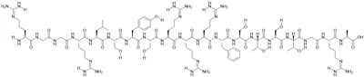 Пептид SynB1
